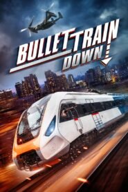 Bullet Train Down