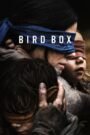 Bird Box (2018) Cast, Release Date, Review, Trailer