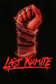 The Last Kumite (2024) Cast, Release Date, Review, Trailer