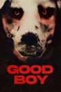 Good Boy (2022) Cast, Release Date, Review, Trailer