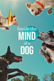 Inside the Mind of a Dog (2024) Cast, Release Date, Review, Trailer